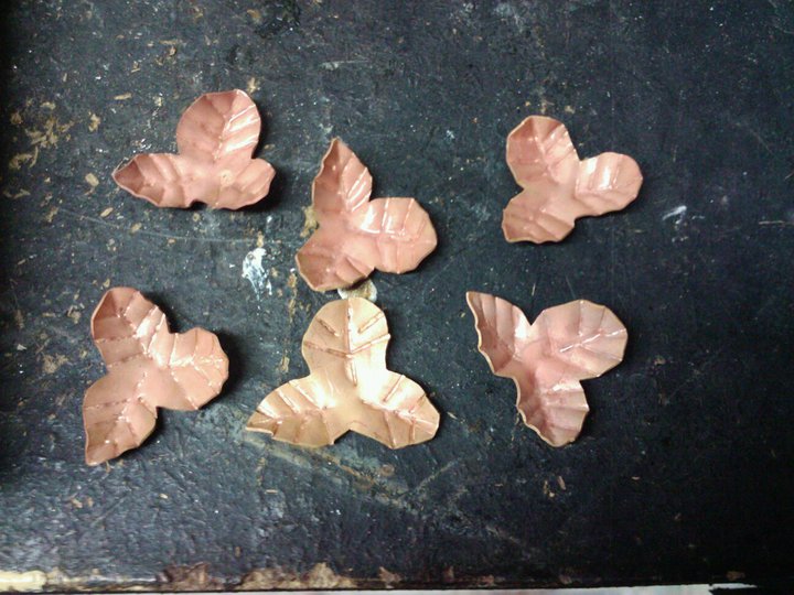 Leaves
