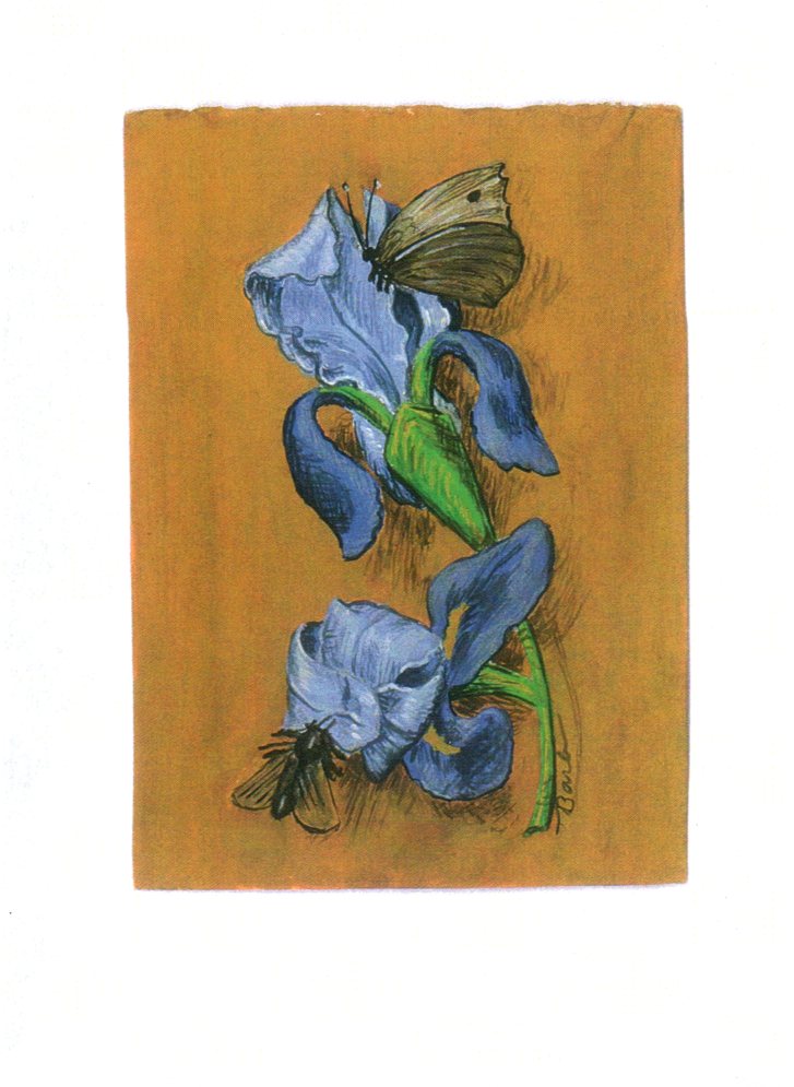 Flowers 1